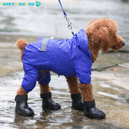 chaussure chien • JappyProtect™ : toute les températures sous la pluie 