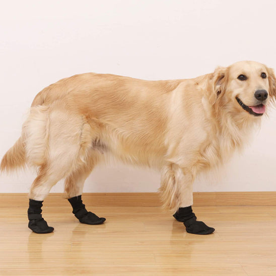 Chaussures chien  | Confort PawSoft™ couleur noir