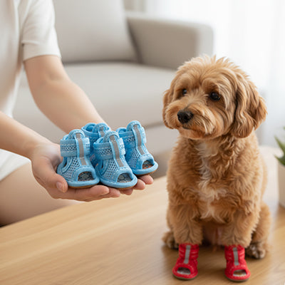 Chaussures chien | Luxe JappyElite™ CHOIX DE COULEUR