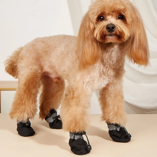 Chaussures chien  • XS PawFlex2™  : Noir