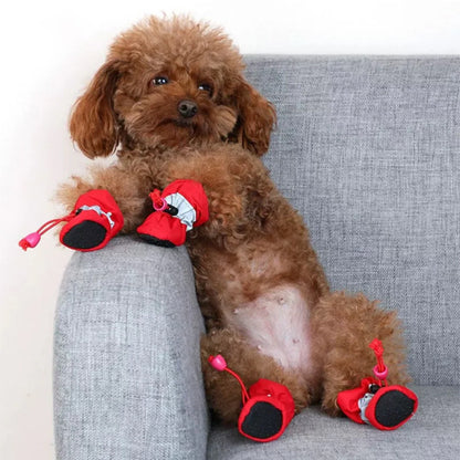 Chaussures chien  • XS PawFlex2™ rouge petit chien