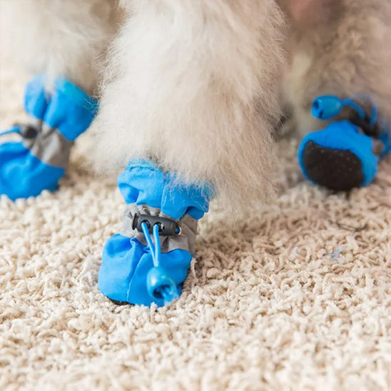 Chaussures chien  • XS PawFlex™ : tout confort