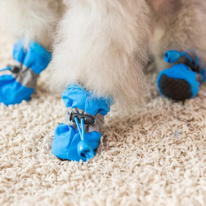 Chaussures chien  • XS PawFlex™ : tout confort