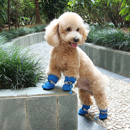 Chaussures chien  • XS PawFlex™  Bleu  sur chien dans l'allé 