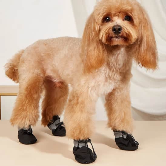 Chaussures chien  • XS PawFlex™  Noir 