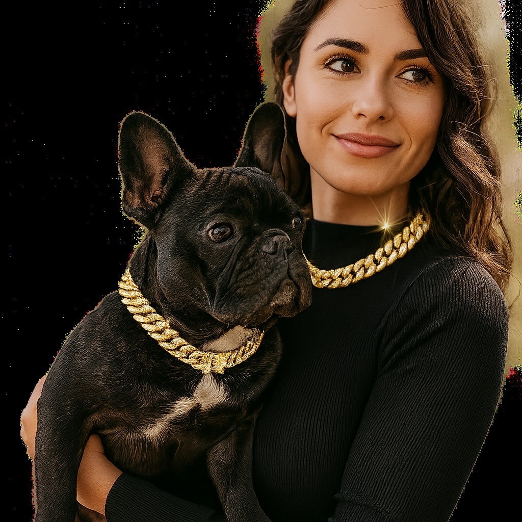 Collier chien ColD'OR mode dore www.jappytoutou.com