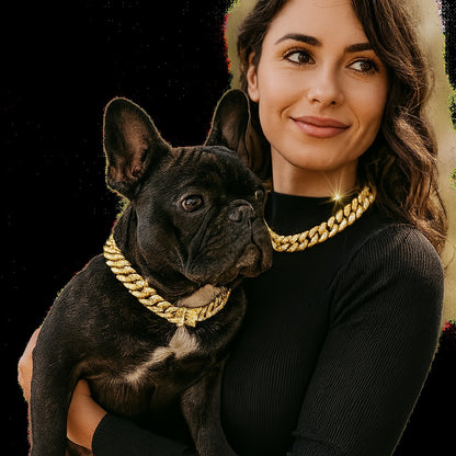 Collier chien ColD'OR mode dore www.jappytoutou.com
