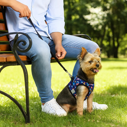 Harnais Petit Chien | Éclat Floral™ ; Des moments de complicité