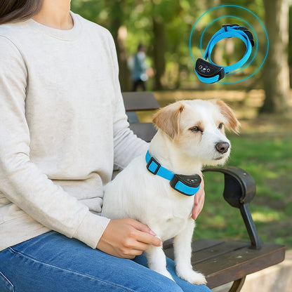 Un collier anti aboiement petit chien - en douceur partout