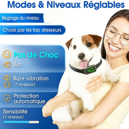 Confort et design du Collier anti aboiement petit chien | AntiBark™