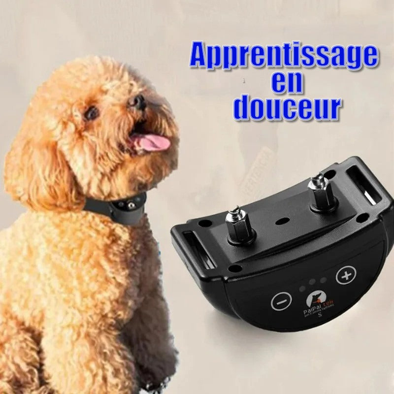 Collier Anti Aboiement Petit Chien : Calme,Tranquillité
retrouvez,
www.jappyotuotu.com