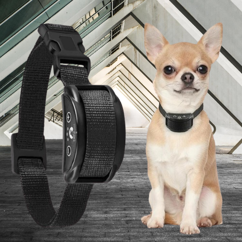 Collier Anti Aboiement Petit Chien : Calme,Tranquillité
retrouvez,
www.jappyotuotu.com
