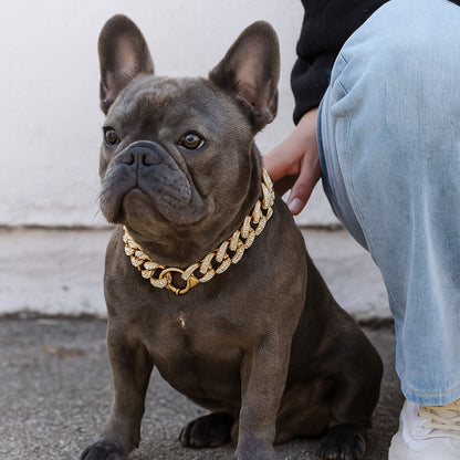 Bandit collier chien-ChicBandit™ sublime tous les styles canins