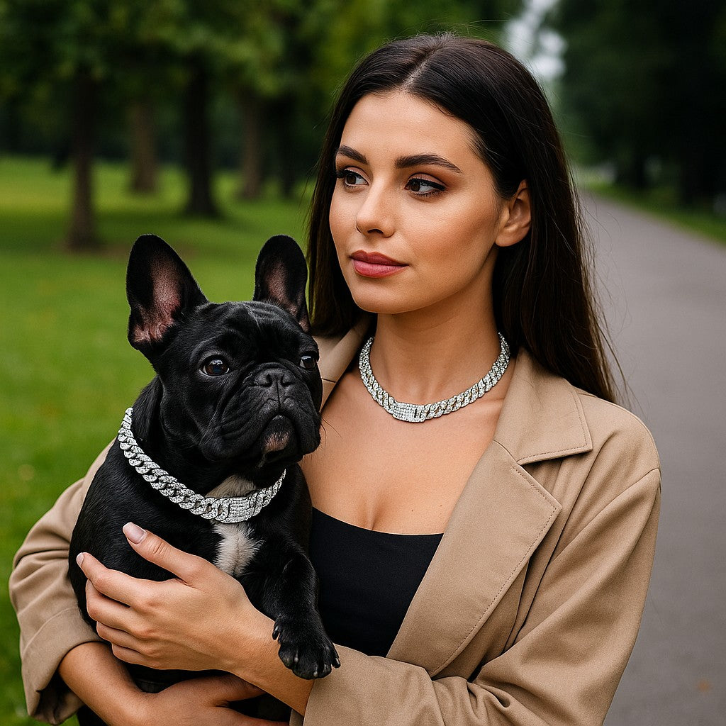 Collier chien ColD'OR mode Argent
www.jappytoutou.com