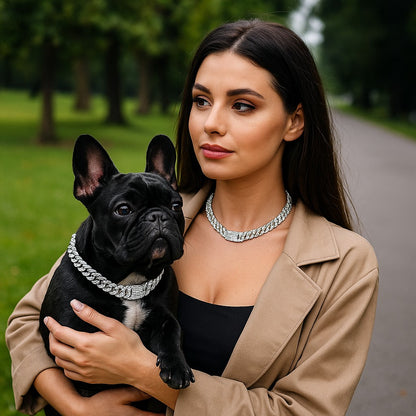 Collier chien ColD'OR mode Argent
www.jappytoutou.com
