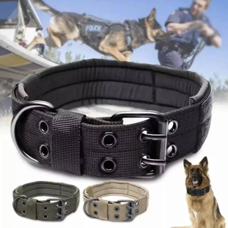 Collier_Chien_Noir_double_attache_choix_couleur_www.jappytoutou.com