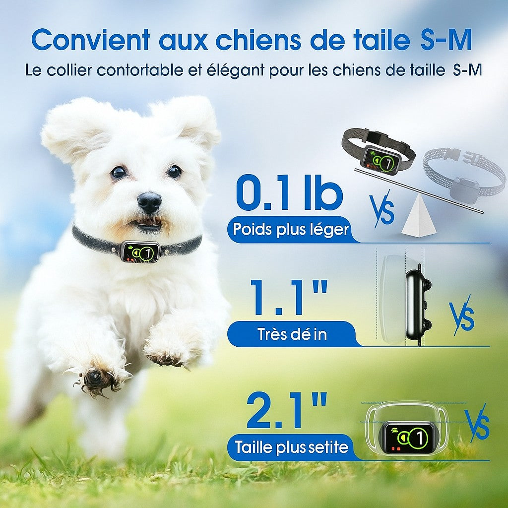 Confort et design du Collier anti aboiement petit chien | AntiBark™
