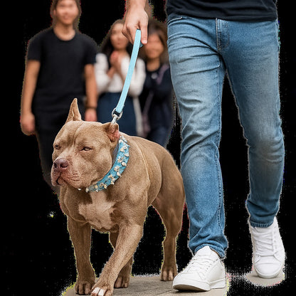 Collier chien : Coloré clouté, robuste, chic