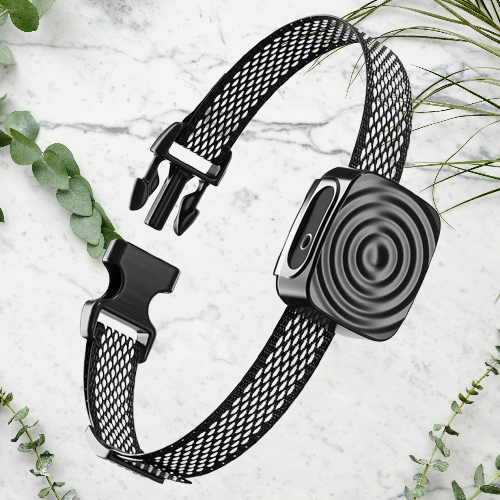 Collier anti-aboiement petit chien en douceur
Un apprentissage respectueux pour votre compagnon