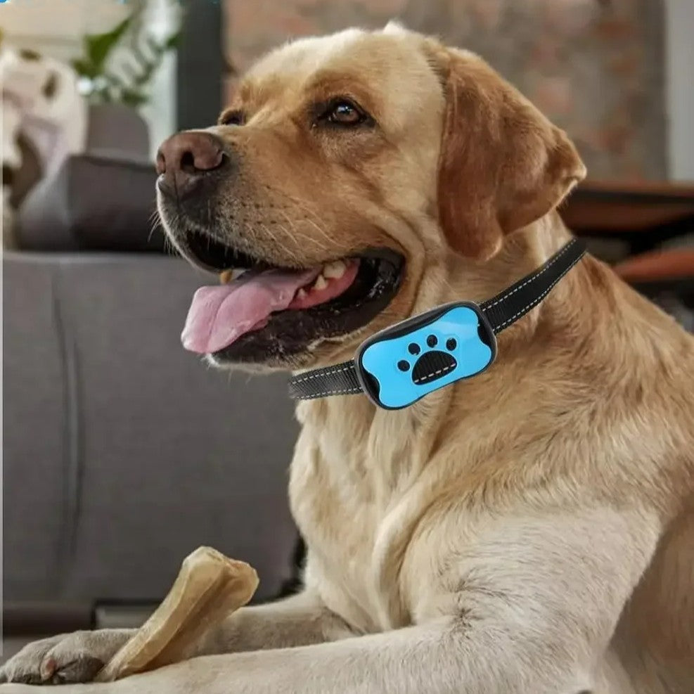collier anti aboiement chien toute age toute grandeur