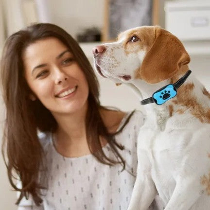 collier anti aboiement chien 