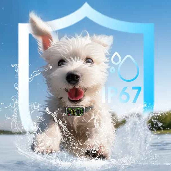 Collier anti aboiement petit chien | AntiBark™ imperméable