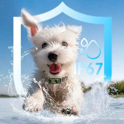 Collier anti aboiement petit chien | AntiBark™ imperméable