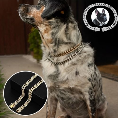 Collier chien ColD'OR mode dore www.jappytoutou.com