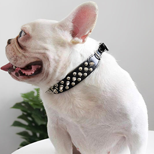 Que ce soit pour une balade ou un entraînement, le collier chien s’adapte à toutes les situations.