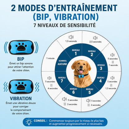 Collier de dressage Chien • QuietPaw™: Sans Choc , approche plus humaine, sans douleur
