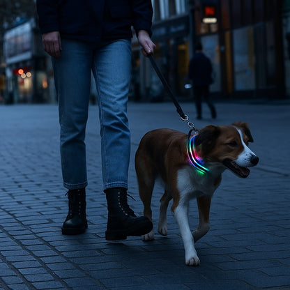Collier lumineux pour chien, choix écologique, responsable