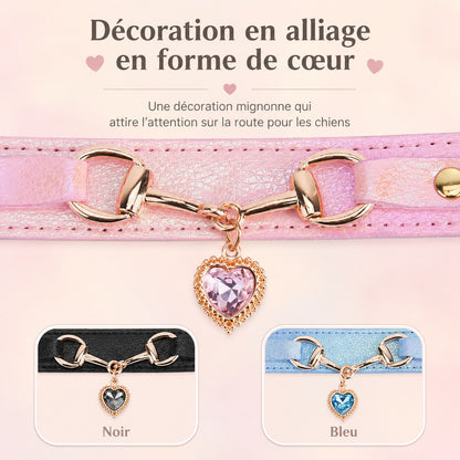 Collier pour Chien • Perle à Jappy™ : Décoration