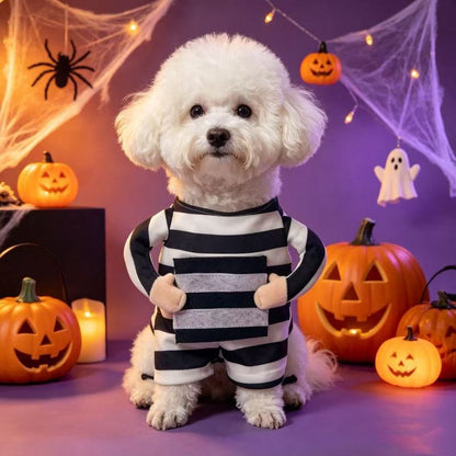 Déguisement chien Halloween - Prisonnier  fête d'halloween