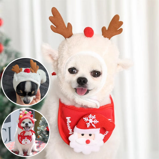 déguisement chien parfait pour votre compagnon
Adapter le costume à la personnalité de votre toutou