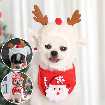 déguisement chien parfait pour votre compagnon
Adapter le costume à la personnalité de votre toutou