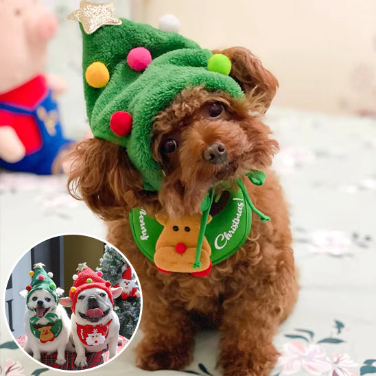 déguisement chien parfait pour votre compagnon
Adapter le costume à la personnalité de votre toutou