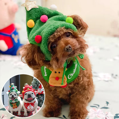 déguisement chien parfait pour votre compagnon
Adapter le costume à la personnalité de votre toutou