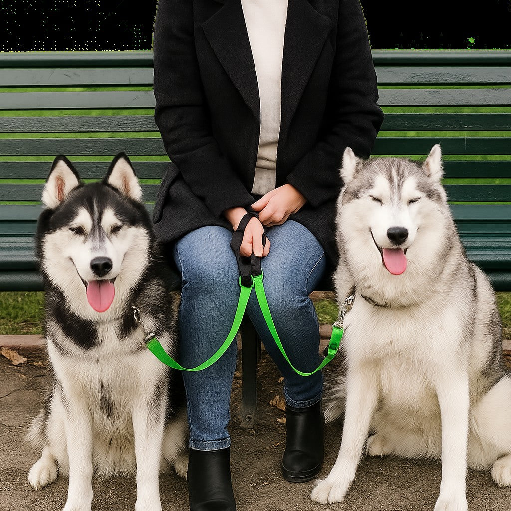 Laisse double pour chien MARCHE ou assis EN Tandem 