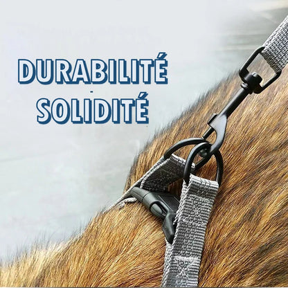 Harnais en Y Qualité Supérieure, Durable, visibilité nocturne
