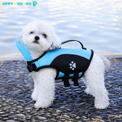 Gilet de sauvetage Chien • NageToutou™ :  sur le bord de la piscine