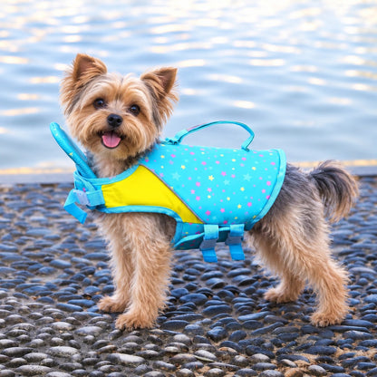 Gilet de sauvetage Chien • NageToutou™ : Bleu bord de lac