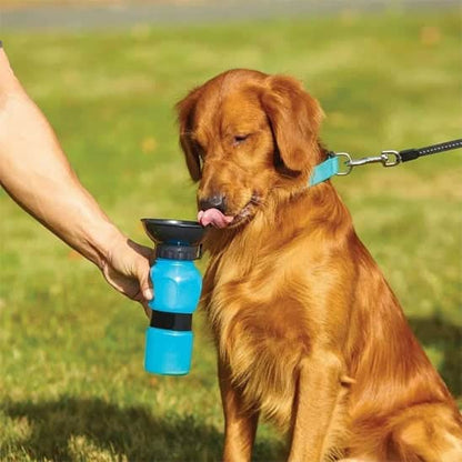 Gourde pour chien | JappyHydratou™ : pour tout toutou, partout