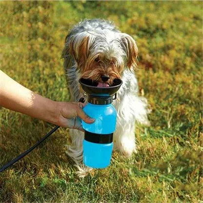 Gourde pour chien | JappyHydratou™ : protège sa santé