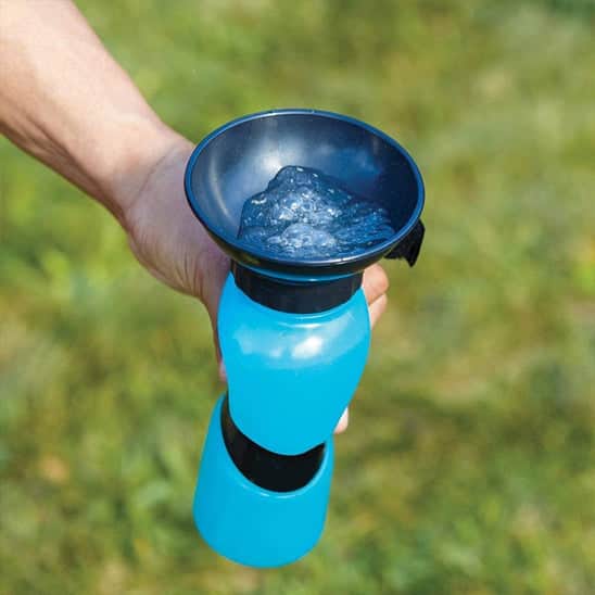 Gourde pour chien | JappyHydratou™ : eau fraiche