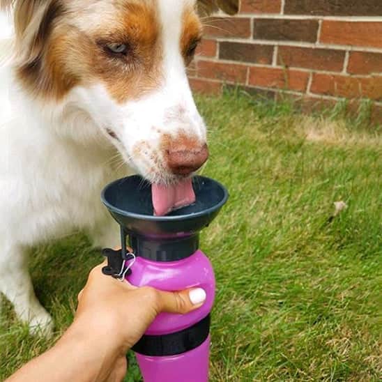Gourde pour chien | JappyHydratou™ :  facile d'utilisation