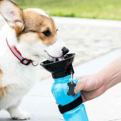 Gourde pour chien | JappyHydratou™ : hydratation fraiche