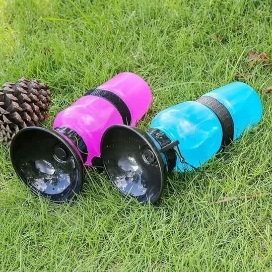 Gourde pour chien | JappyHydratou™ : coloré et sans danger