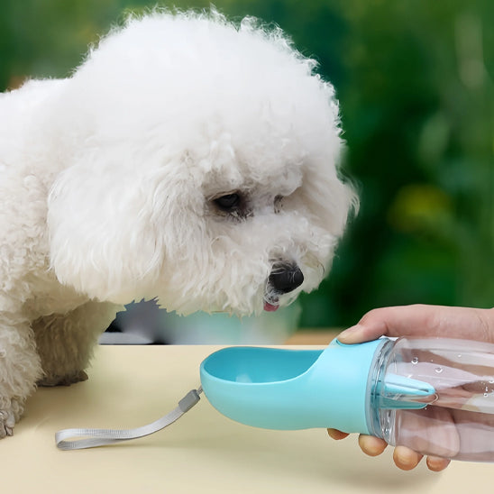 Gourde pour chien • JappySource™: Antifuite