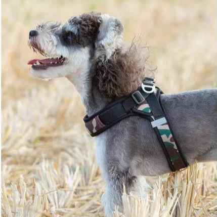 Harnais en y -  - Super confort  pour  Toutou
www.jappytoutou.com