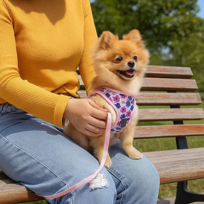 Harnais petit chien | Éclat-Floral™